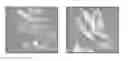 Fig. 01 - STAT3 inhibiting compositions and methods