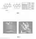 Fig. 09 - STAT3 inhibiting compositions and methods