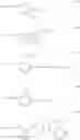 Fig. 47 - Functionalized particles