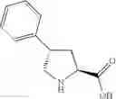 Fig. 137 - NPR-B agonists