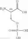 Fig. 216 - NPR-B agonists