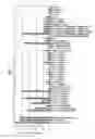 Fig. 02 - Protein refolding method