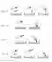 Fig. 03 - Protein arrays