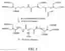 Fig. 02 - Liver-targeting agents and their synthesis