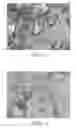 Fig. 02 - Method of crystallization
