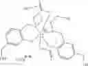 Fig. 10 - INTERMEDIATES FOR HYDROXYLATED CONTRAST ENHANCEMENT AGENTS