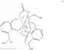 Fig. 20 - INTERMEDIATES FOR HYDROXYLATED CONTRAST ENHANCEMENT AGENTS