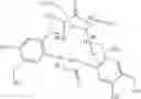 Fig. 37 - INTERMEDIATES FOR HYDROXYLATED CONTRAST ENHANCEMENT AGENTS