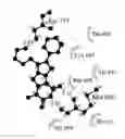 Fig. 01 - Anti-angiogenic compounds