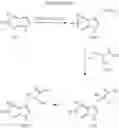 Fig. 08 - Process for preparing enantiomerically pure indolopyridines