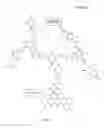 Fig. 05 - UV excitable fluorescent energy transfer dyes