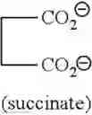 Fig. 29 - Intermediates for Hydroxylated Contrast Enhancement Agents