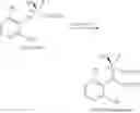 Fig. 43 - PROCESS FOR THE HYDROGENATION OF IMINES