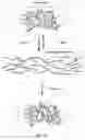 Fig. 11 - Inductive heating of tissues using alternating magnetic fields and uses thereof
