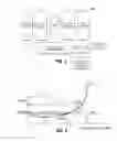 Fig. 03 - METHOD, ARRANGEMENT AND APPARATUS FOR ASSESSING FLUID BALANCE STATUS OF A SUBJECT