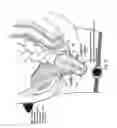 Fig. 07 - Electronic pelvic organ prolapse quantification system