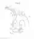 Fig. 06 - Catheter for left coronary artery and engaging method therefor