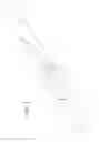 Fig. 08 - Adjustable orthopedic back brace