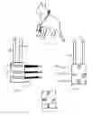 Fig. 03 - Protective Wraps and Methods of Animal Wound Care