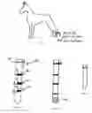 Fig. 04 - Protective Wraps and Methods of Animal Wound Care