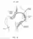 Fig. 07 - METHOD AND APPARATUS FOR MANAGING JOINT IRRIGATION DURING HIP ARTHROSCOPY