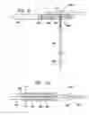 Fig. 10 - DRILL-AIMING METHOD AND APPARATUS