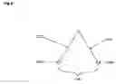 Fig. 07 - Laparoscopic anastomosis tools and technique