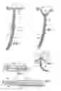 Fig. 08 - Devices For Installing Stasis Reducing Means In Body Tissue