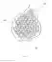 Fig. 05 - Hemorrhage control devices and methods