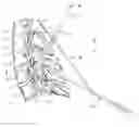 Fig. 01 - Systems and methods for minimally invasive facet fusion
