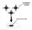 Fig. 01 - Means and Methods for Influencing Electrical Activity of Cells