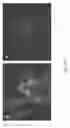 Fig. 09 - Means and Methods for Influencing Electrical Activity of Cells
