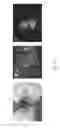 Fig. 19 - Means and Methods for Influencing Electrical Activity of Cells