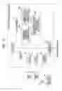 Fig. 18 - SAMPLE TESTING APPARATUS AND METHOD OF CONTROLLING SAMPLE TESTING APPARATUS