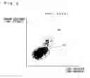 Fig. 09 - BLOOD CELL COUNTER, DIAGNOSIS SUPPORT METHOD AND COMPUTER PROGRAM PRODUCT
