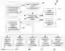 Fig. 01 - Optimizing a language/media translation map