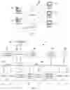 Fig. 02 - Optimizing a language/media translation map