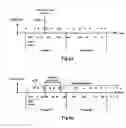 Fig. 11 - Flexible parameter update in audio/speech coded signals