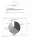 Fig. 11 - System and method for predicting consumer credit risk using income risk based credit score