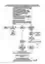 Fig. 33 - SYSTEM AND METHOD OF SEARCHING, SHARING, AND COMMUNICATION IN A PLURALITY OF NETWORKS