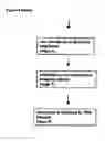 Fig. 08 - E-mail proxy