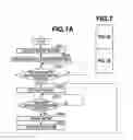 Fig. 08 - Control apparatus, method for controlling the control apparatus, and storage medium