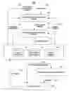 Fig. 01 - Systems and methods for identifying audio content using an interactive media guidance application