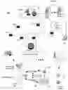 Fig. 01 - Apparatus and method for media detection and replacement