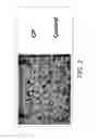Fig. 03 - Methods of reducing plant abiotic stress by applying a composition comprising lignins, tannins, and hydrocarbons