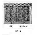 Fig. 05 - Methods of reducing plant abiotic stress by applying a composition comprising lignins, tannins, and hydrocarbons