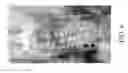 Fig. 12 - Method and appartus for extraction of plant embryos