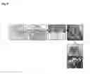 Fig. 09 - METHODS AND COMPOSITIONS FOR TRANSGENIC PLANTS PRODUCING ANTIMICROBIAL PEPTIDES FOR ENHANCED DISEASE RESISTANCE