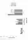 Fig. 13 - METHODS AND COMPOSITIONS FOR TRANSGENIC PLANTS PRODUCING ANTIMICROBIAL PEPTIDES FOR ENHANCED DISEASE RESISTANCE