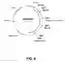 Fig. 07 - Polypeptides having cellulolytic enhancing activity and polynucleotides encoding same